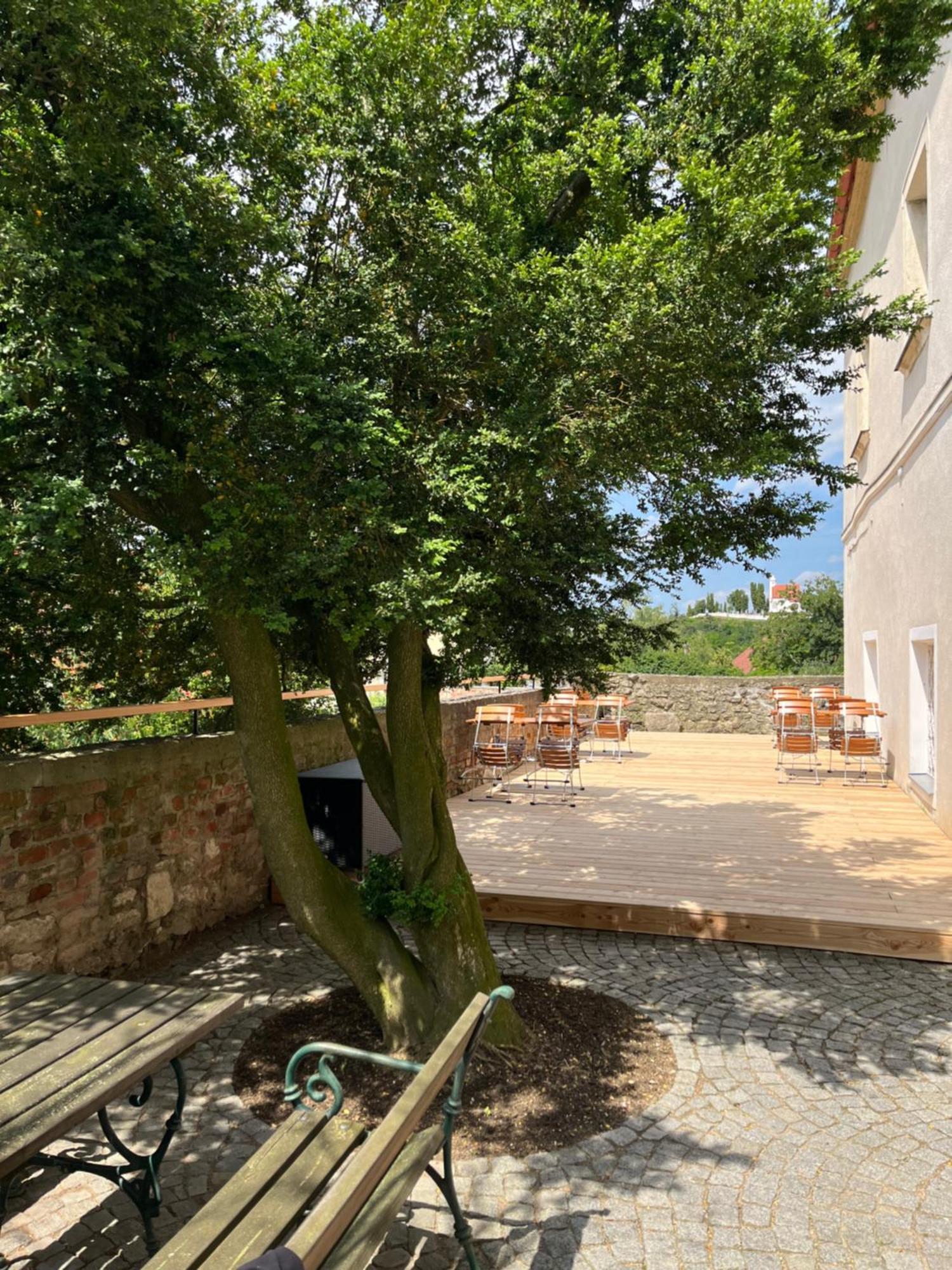 Schlosshotel Mailberg Exteriér fotografie